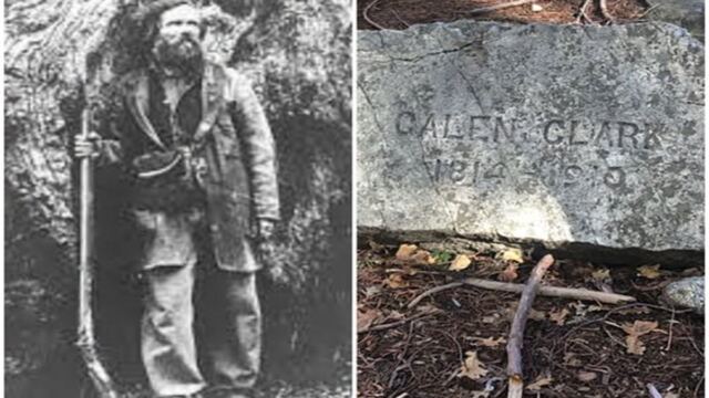 El hombre que fue a morir y acabó plantando secuoyas 1 En la foto, imágenes relacionadas con Galen Clark