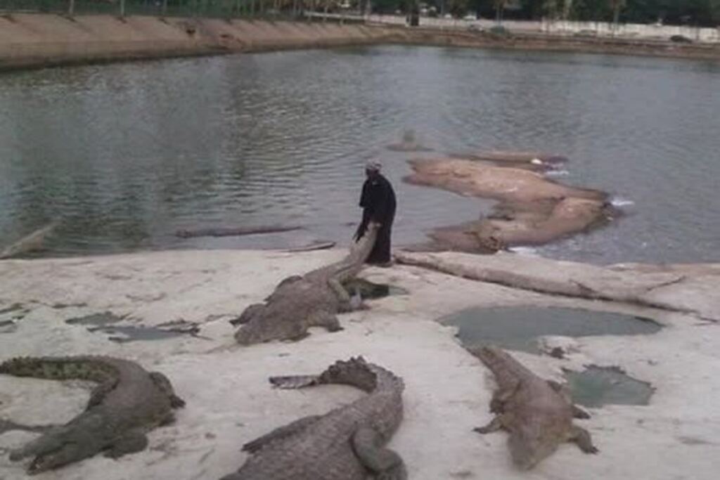 En la foto, Dicko Toké entre los cocodrilos