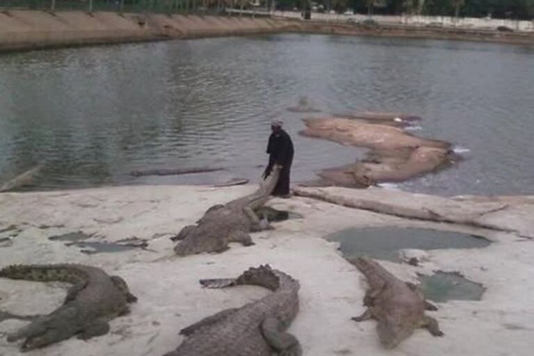 En la foto, Dicko Toké entre los cocodrilos