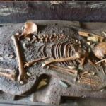 En la foto, restos encontrados en el cementerio de Windover