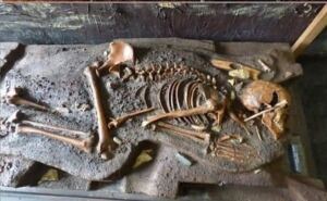 En la foto, restos encontrados en el cementerio de Windover