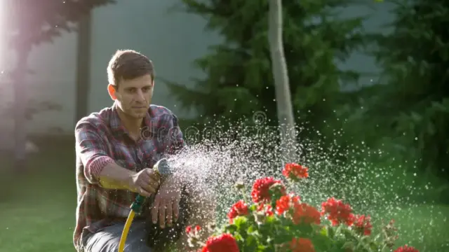 En la foto, un hombre riega unas flores