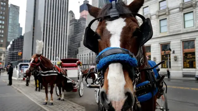 En la foto, un carruaje a caballo esperando en una calle cerca al Parque Central, en Nueva York