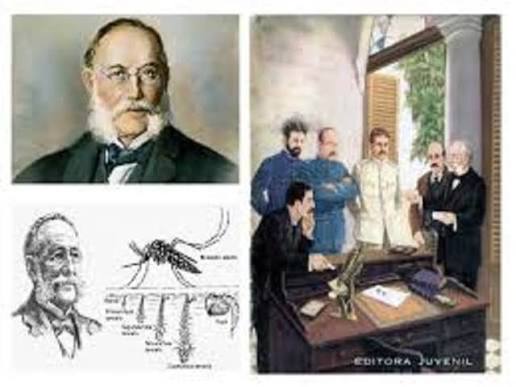Carlos J. Finlay: Biografía del descubridor del transmisor de la fiebre amarilla 12 Carlos J. Finlay: Biografía del descubridor del transmisor de la fiebre amarilla