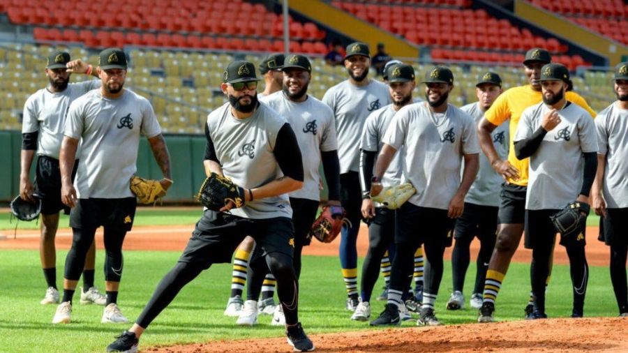 Leones del Escogido defienden el bicampeonato: LIDOM se prepara para una nueva batalla