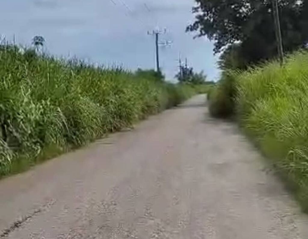 En la foto, la carretera entre Jaruco y Bainoa