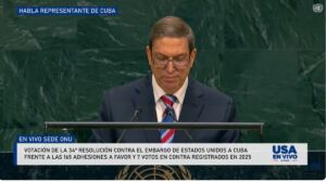 En al foto, Burno Rodríguez reclamando en ONU paz para Cuba (para los Castro y sus adláteres)
