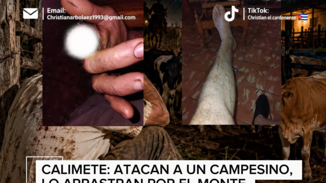 Violento asalto en una finca de Calimete deja a un campesino mutilado y diez vacas sacrificadas